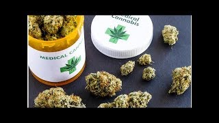 Cannabis thérapeutique: la plupart des médecins qui en parlent à leurs malades ne savent pas si ç...