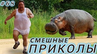 СМЕШНЫЕ ПРИКОЛЫ 2024  РЖАЛ ДО СЛЕЗ 😂 25 Минут ОТБОРНЫХ Русских приколов  ИЮЛЬ 2024 Смешные видео #68