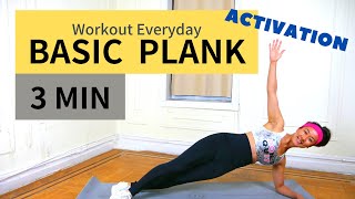 BASIC PLANK and CORE ACTIVATION WORKOUT |  Follow Along | Meg Aerial Fitness