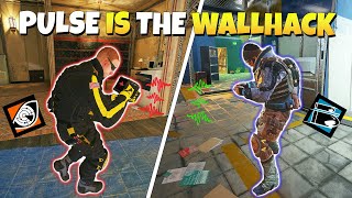 You Don't Need Wallhacks When You Have Pulse - Rainbow Six Siege