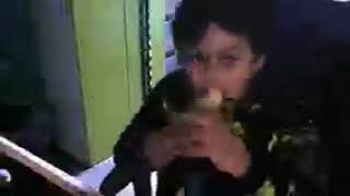 kid eating banana vigurously