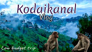 KODAIKANAL TRIP IN LOW BUDGET | கொடைக்கானலில் பார்க்க வேண்டிய இடங்கள் #gunacave #anjaantamilan