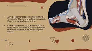 Facts About Your Feet.