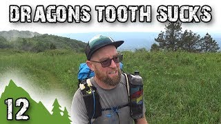 Appalachian Trail 2018 Episode 12 - Narrows, VA to Four Pines Hostel