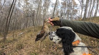 The Queen, inseguendo una Regina, nel bosco. Video 4K