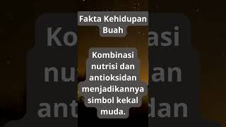 Fakta Unik Tentang Buah  52