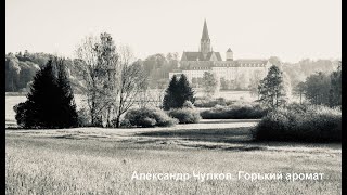 Горький аромат. Грустный стих об уходящем времени.