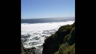 Playa Pichicullin , Mehuin sur de Chile