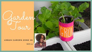 Urban Florida Garden Zone 9b Garden Weekly Update June 21 Garden Tour