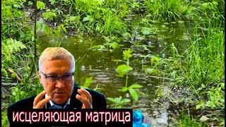 Исцеляющая матрица и целительные настрои.