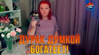 ДУРАК ДУМКОЙ БОГАТЕЕТ! ПОУМНЕЛ ЛИ МАЧО?