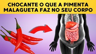 15 Razões Surpreendentes para Incluir a Pimenta Malagueta na Sua Dieta!