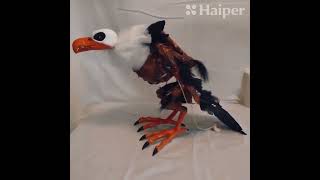 Animatronic Bird