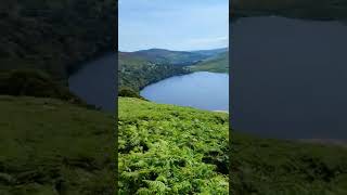 Guinness lake #shorts #ireland