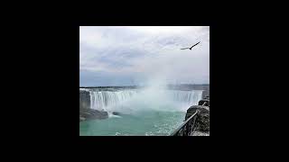 niagara falls — ниагарский водопад