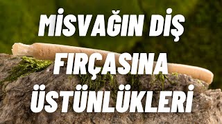 Misvağın Diş Fırçasına Üstünlükleri