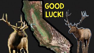 APPLYING for TULE ELK in CALIFORNIA (WASTE OF MONEY?)