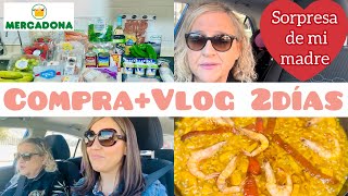 😮CÓMO CUESTA LLEGAR A TODO…ESTO NO ME LO ESPERABA‼️COMPRA MERCADONA #lepetitvlogs