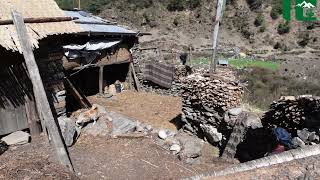 A Himalayan Woman offered Butter tea to a trekker