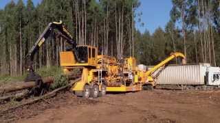 CBI Magnum Force Flail 604 & Magnum Force 754 Disc Chipper