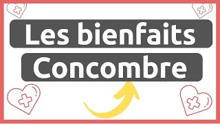 Les bienfaits du concombre │ Propriété curative des aliments