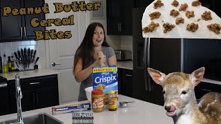 Easy 3 Ingredient Peanut Butter Cereal Bites! Episode 139