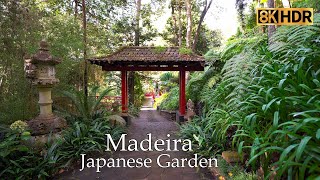 Japanese Garden  -  Monte Palace Madeira  -  Funchal  -  Portugal  8K