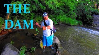 FISHING VLOG 52 4K THE DAM