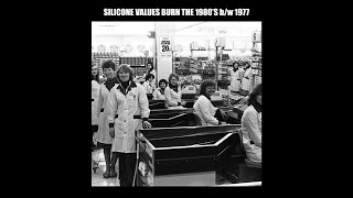 Silicone Values - 1977