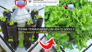 Ide baru !! cara mudah menanam sayur hidroponik dengan galon & botol mineral