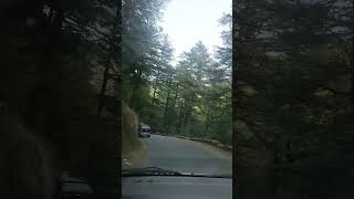 ye saam mastani Himachal Pradesh 🏔️🌺☘️🌌#travel #chail #himachal #vlog #love