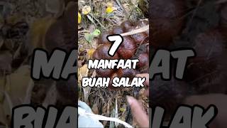 7 manfaat buah salak untuk kesehatan #shorts  original vidio by youtube @miftahsalak4396