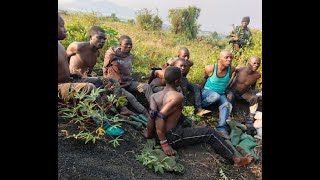 ⛑️FARDC YEREKANYE ABASIRIKARI BA FDLR YAFATIYE KU RUGAMBA ABANDI IRABICA