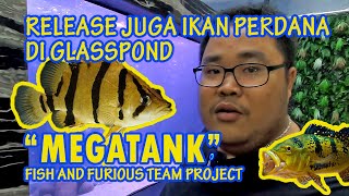 GLASSPOND / MEGATANK PROJECT !!! DARI 0 SAMPAI ISI IKAN DI KERJAKAN OLEH FISH AND FURIOUS TEAM !!!