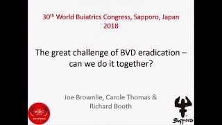 The great challenge of BVD eradication – can we do it together?