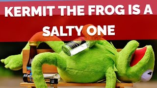 Kermit The Frog Unleashes His Inner Sass in BONELAB (Multiplayer)