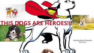 3 DOGS WHO BECAMES HEROES !😲😲