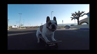 Stella Skateboarding 2