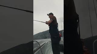 Deep sea ​​fishing for ling (Molva molva) in 150 meters depth! Velfjord Nordnorway #shorts