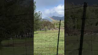 Kelseyville , California ,rainbow, nature, Mount Konocti