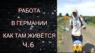 VLOG РАБОТА В ГЕРМАНИИ ( ЧЕРНИКА ) РАБОТА ЗА ГРАНИЦЕЙ ЧАСТЬ 6