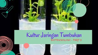 #bioteknologi #kulturjaringantumbuhan #biologisma BIOTEKNOLOGI MODERN | KULTUR JARINGAN TUMBUHAN