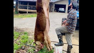 Butchering a Giant boar