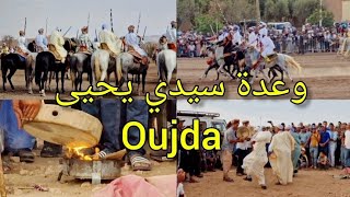 وعدة سيدي يحيى وجدة موسم التبوريدة الخيل رقصة العلاوي  oujda wa3da sidi yahya 2024