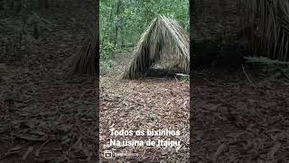 Sabia que alem de passear pela usina de Foz do Iguaçu, a itaipu binacional. Voce pode ver bichinhos?