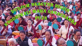 Dudjom Ngagyur Rigzin Krodhikali Maha Ganachakra Puja - 2 || Sherpa Sewa Kendra || 18th Nov. 2022