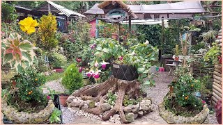 Sonia Mostrando Como luce de hermoso el Jardin Con Las Nuevas Plantas Florales