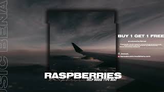 Deep House Type Beat x Pop House Type Beat 2021 "Raspberries" new groove club edm dance instrumental