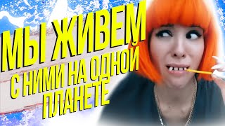 МЫ ЖИВЕМ С НИМИ НА ОДНОЙ ПЛАНЕТЕ - КРИНЖ ЛАЙК #7