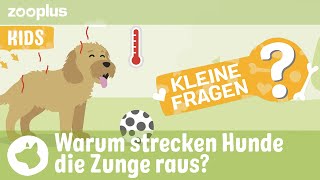 Warum strecken Hunde ihre Zunge raus? | zooplus Kleine Fragen